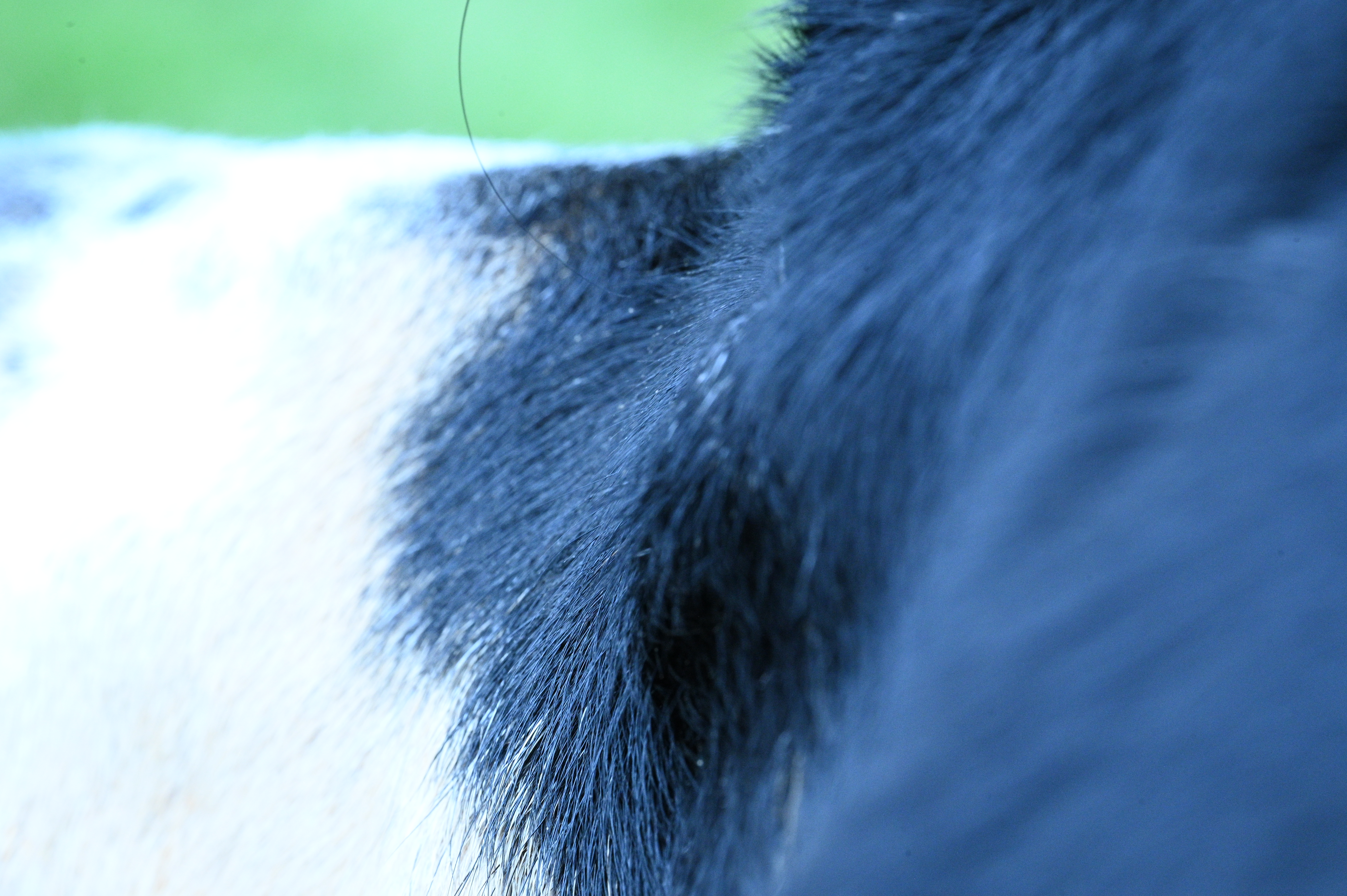 2025/07/09-14 - trip/DSC_0071.JPG